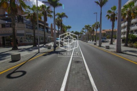 Commercial property à vendre Arona, Tenerife, Espagne, 235 m2 No. 111120 - photo 7