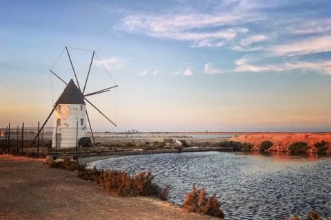 Dzīvoklis pārdošanā San Pedro del Pinatar, Murcia, Spānijā 3 istabas, 107 m2 Nr. 146924 - attēls 8