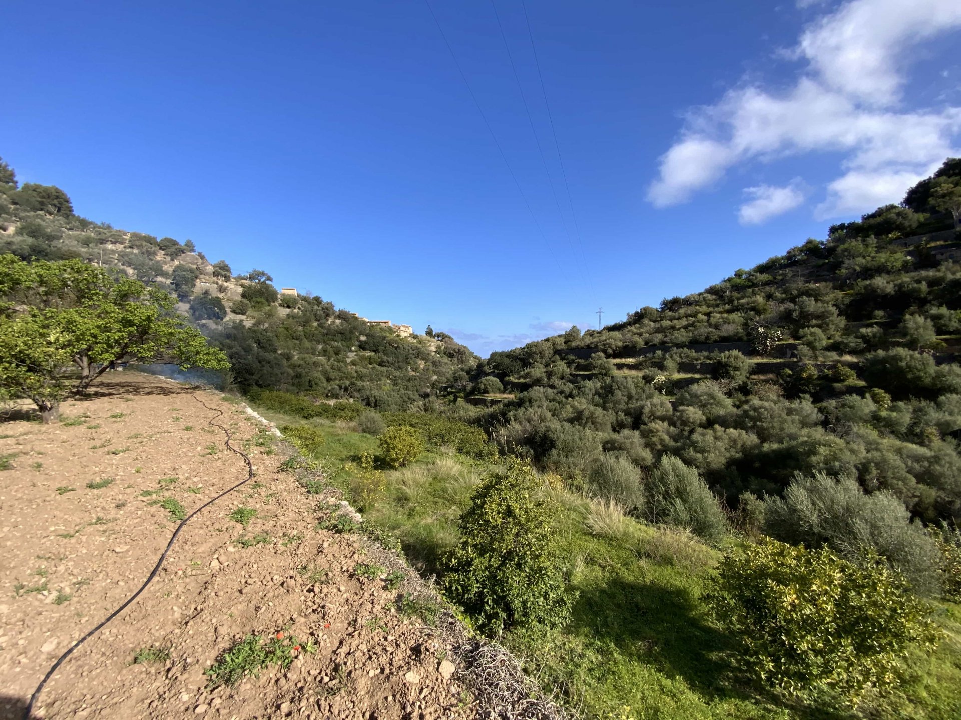 Land plot in Deia, Mallorca, Spain 1 bedroom, 3529 sq.m. No. 32699