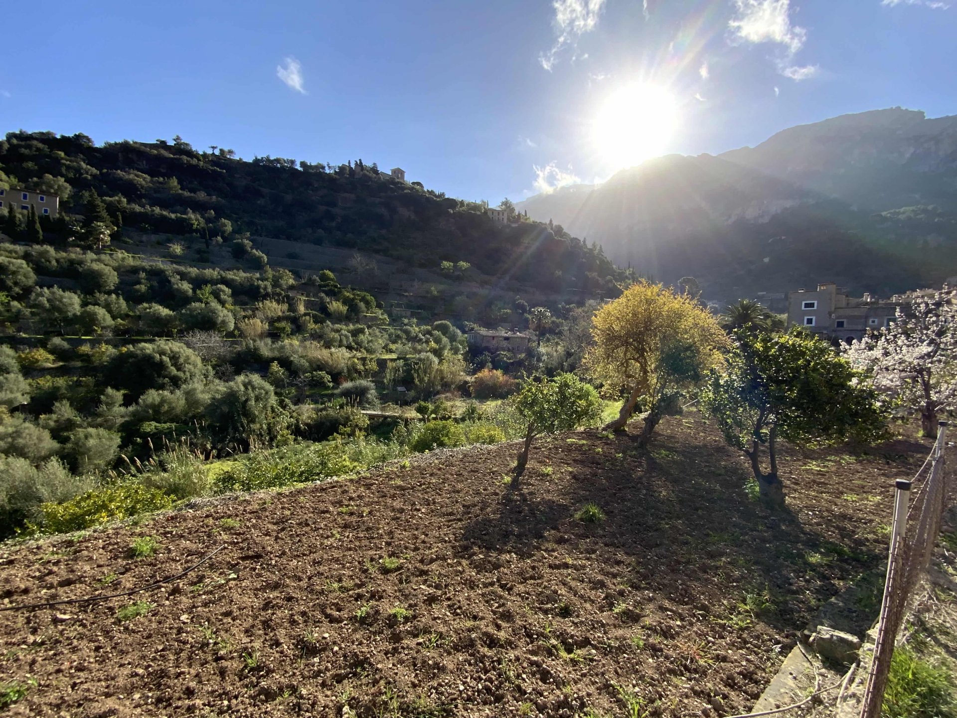 Land plot in Deia, Mallorca, Spain 1 bedroom, 3529 sq.m. No. 32699