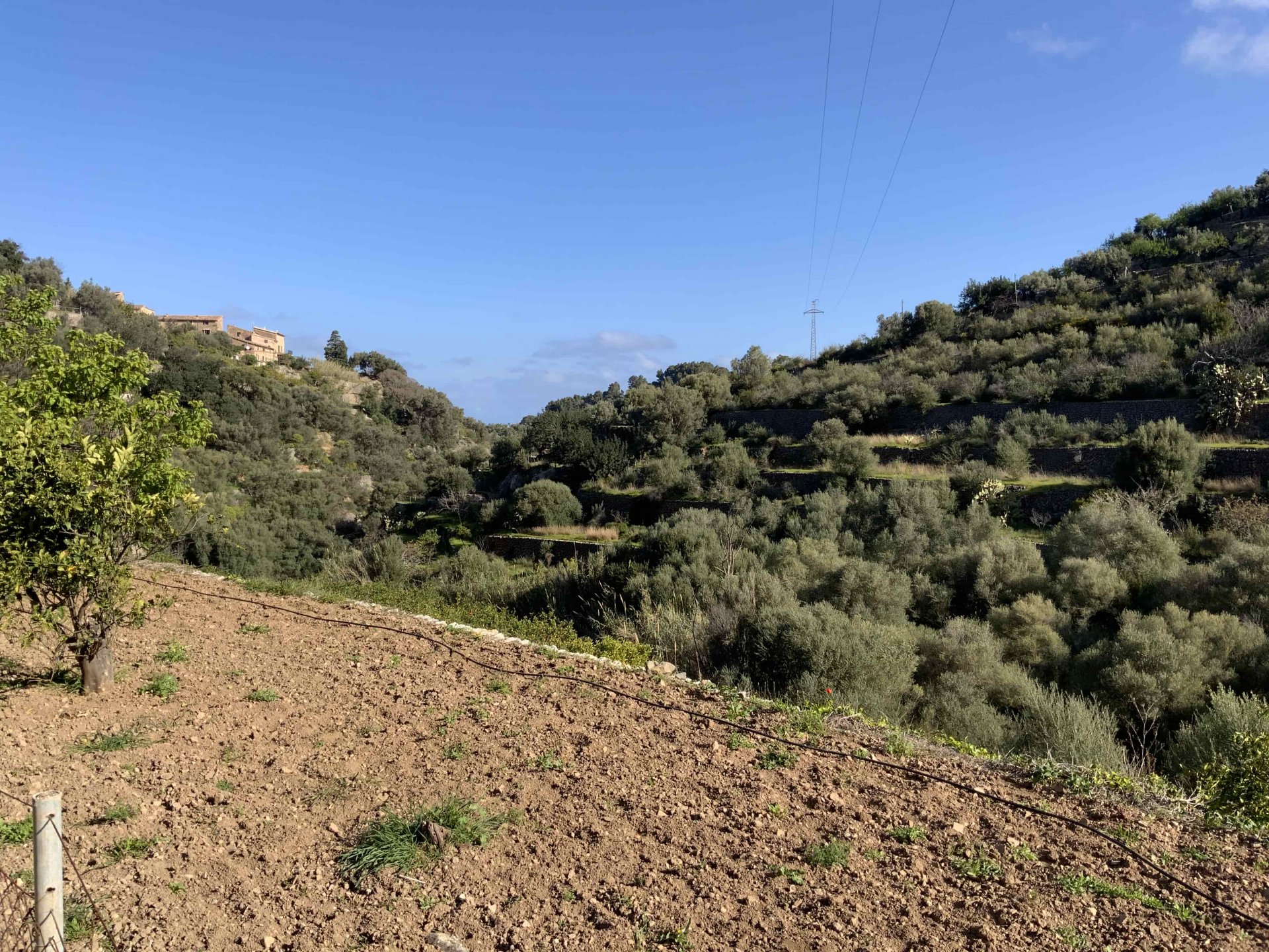 Land plot in Deia, Mallorca, Spain 1 bedroom, 3529 sq.m. No. 32699