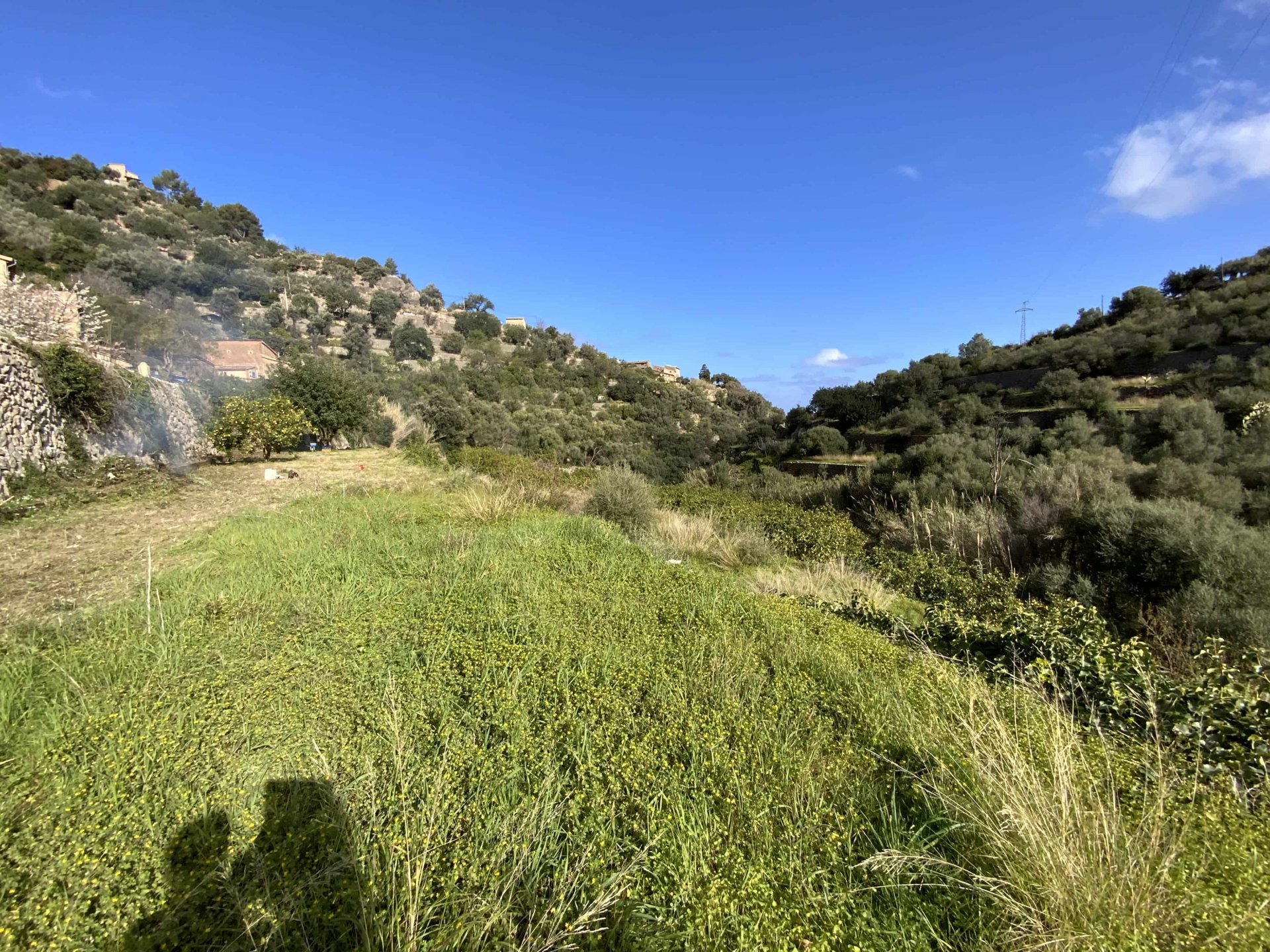 Land plot in Deia, Mallorca, Spain 1 bedroom, 3529 sq.m. No. 32699