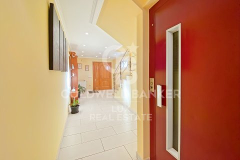 Продажа дома в Виламалла, Герона, Испания 4 спальни, 395м2 №159656 - фото 22