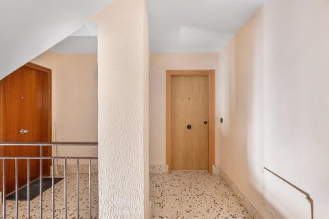 Apartment for sale La Mata, Alicante, Spain 3 bedrooms,  No. 137820 - photo 29