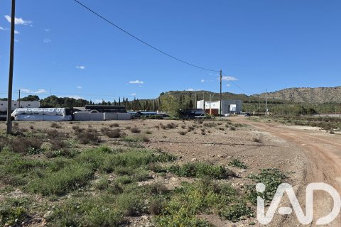 Parcela en venta en Calasparra, Murcia, España 40000 m2 No. 188432 - foto 5