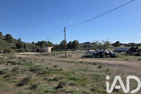 Parcela en venta en Calasparra, Murcia, España 40000 m2 No. 188432 - foto 6