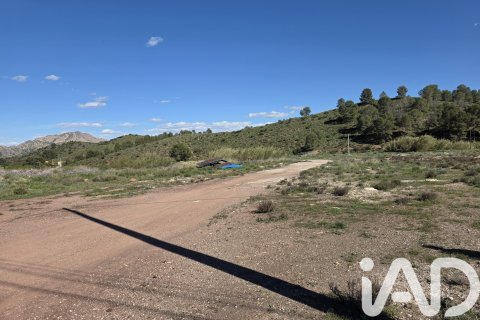Parcela en venta en Calasparra, Murcia, España 40000 m2 No. 188432 - foto 11