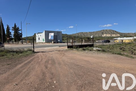 Parcela en venta en Calasparra, Murcia, España 40000 m2 No. 188432 - foto 13