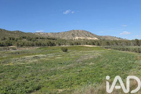 Parcela en venta en Calasparra, Murcia, España 38000 m2 No. 188430 - foto 2