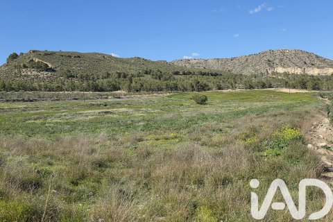Parcela en venta en Calasparra, Murcia, España 38000 m2 No. 188430 - foto 4