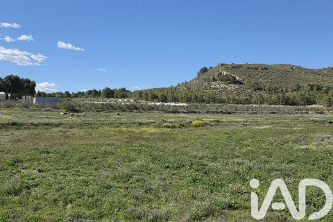 Parcela en venta en Calasparra, Murcia, España 38000 m2 No. 188430 - foto 3