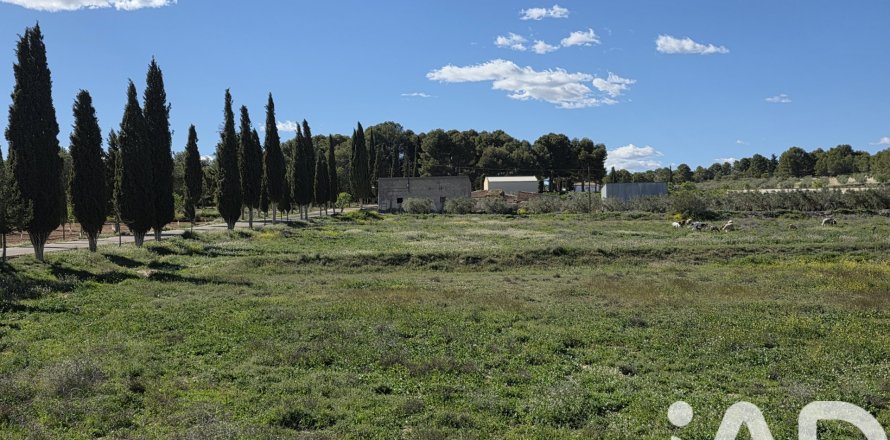Parcela en Calasparra, Murcia, España 38000 m2 No. 188430
