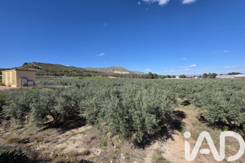 Parcela en venta en Calasparra, Murcia, España 1300 m2 No. 188431 - foto 2