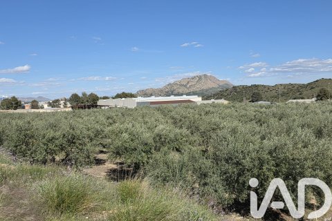 Parcela en venta en Calasparra, Murcia, España 1300 m2 No. 188431 - foto 3