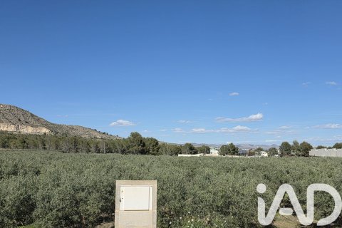 Parcela en venta en Calasparra, Murcia, España 1300 m2 No. 188431 - foto 5