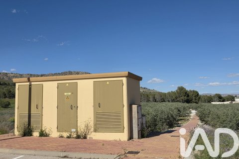 Parcela en venta en Calasparra, Murcia, España 1300 m2 No. 188431 - foto 4