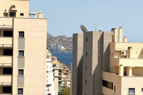 Apartment à vendre à Villajoyosa, Alicante, Espagne, 1 chambre, No. 195456 - photo 14