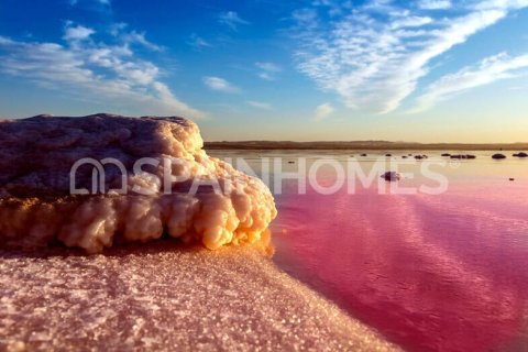 Apartment à vendre à Torrevieja, Alicante, Espagne, 3 chambres, 67 m2 No. 144657 - photo 16