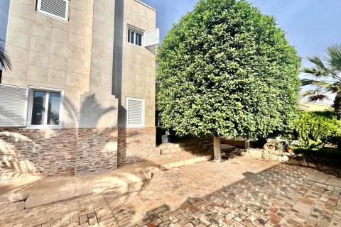 Villa en venta en Torrevieja, Alicante, España 4 dormitorios, 291 m2 No. 144661 - foto 8