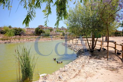 Villa en venta en Benijófar, Alicante, España 3 dormitorios, 170 m2 No. 73970 - foto 6