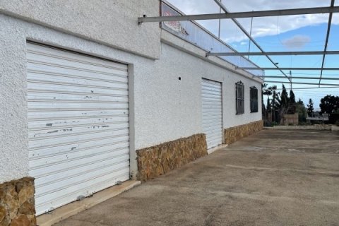 Māja pārdošanā Elche, Alicante, Spānijā 3 istabas, 189 m2 Nr. 152612 - attēls 22