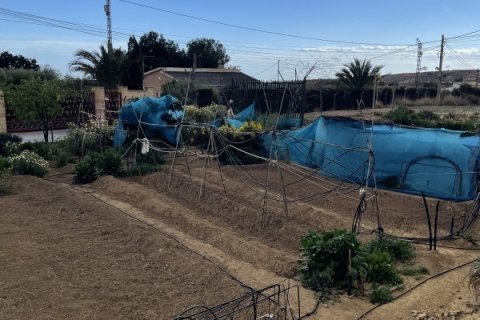 Māja pārdošanā Elche, Alicante, Spānijā 3 istabas, 189 m2 Nr. 152612 - attēls 2