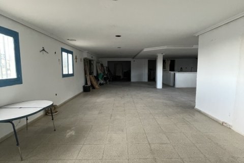 Māja pārdošanā Elche, Alicante, Spānijā 3 istabas, 189 m2 Nr. 152612 - attēls 15