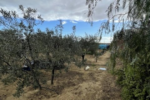 Māja pārdošanā Elche, Alicante, Spānijā 3 istabas, 189 m2 Nr. 152612 - attēls 19