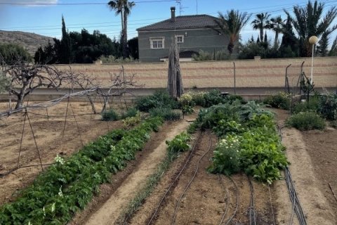 Māja pārdošanā Elche, Alicante, Spānijā 3 istabas, 189 m2 Nr. 152612 - attēls 20