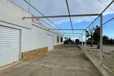 Māja pārdošanā Elche, Alicante, Spānijā 3 istabas, 189 m2 Nr. 152612 - attēls 29