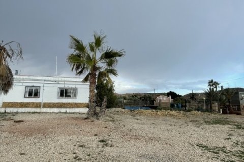 Māja pārdošanā Elche, Alicante, Spānijā 3 istabas, 189 m2 Nr. 152612 - attēls 27