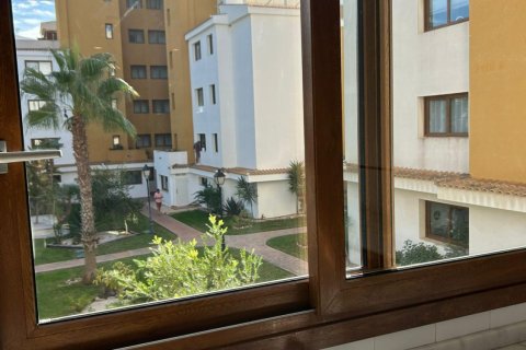 Apartment à vendre à Punta Prima, Alicante, Espagne, 2 chambres, 65 m2 No. 149605 - photo 3