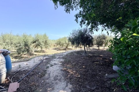 Finca zum Verkauf in La Marina, Alicante, Spanien 5 Schlafzimmer, 200 m2 Nr. 189883 - Foto 8