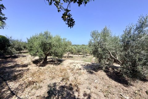 Finca zum Verkauf in La Marina, Alicante, Spanien 5 Schlafzimmer, 200 m2 Nr. 189883 - Foto 7