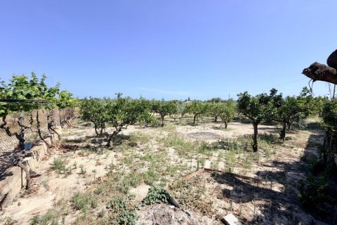 Finca zum Verkauf in La Marina, Alicante, Spanien 5 Schlafzimmer, 200 m2 Nr. 189883 - Foto 3
