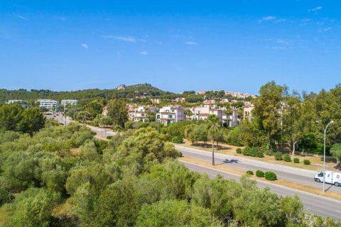 Parcela en venta en Santa Ponsa, Mallorca, España 9600 m2 No. 155750 - foto 10