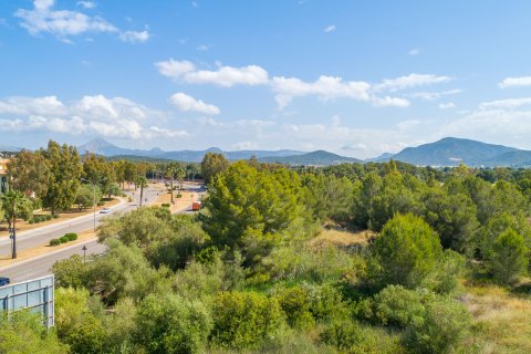 Parcela en venta en Santa Ponsa, Mallorca, España 9600 m2 No. 155750 - foto 4