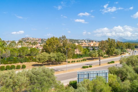 Parcela en venta en Santa Ponsa, Mallorca, España 9600 m2 No. 155750 - foto 9