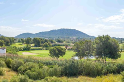 Parcela en venta en Santa Ponsa, Mallorca, España 9600 m2 No. 155750 - foto 12