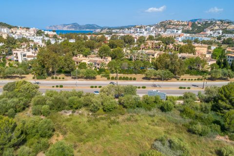 Parcela en venta en Santa Ponsa, Mallorca, España 9600 m2 No. 155750 - foto 3