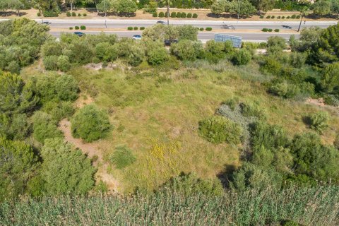 Parcela en venta en Santa Ponsa, Mallorca, España 9600 m2 No. 155750 - foto 11