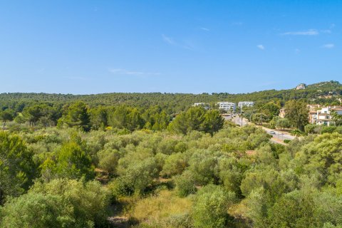 Parcela en venta en Santa Ponsa, Mallorca, España 9600 m2 No. 155750 - foto 7