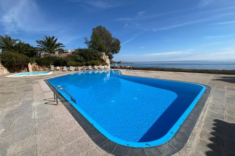 Apartamento en alquiler en Calvià, Mallorca, España 1 dormitorio, 60 m2 No. 155749 - foto 14