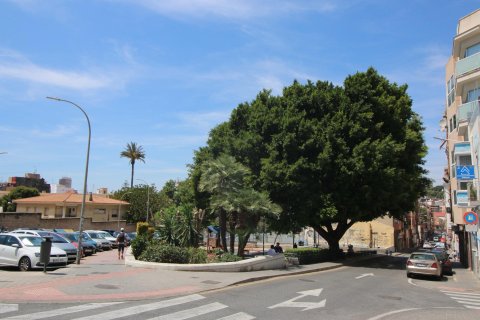 Gewerbeimmobilien zum Verkauf in Alicante, Spanien 24 Schlafzimmer, 1280 m2 Nr. 165210 - Foto 17
