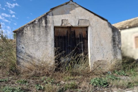Parcela en venta en Arcos de la Frontera, Cádiz, España 3800 m2 No. 185465 - foto 2