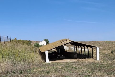 Parcela en venta en Arcos de la Frontera, Cádiz, España 3800 m2 No. 185465 - foto 3