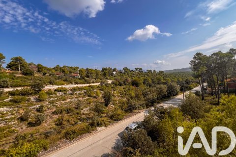 House for sale in La Torre de Claramunt, Barcelona, Spain 213.2 sq.m. No. 185463 - photo 14