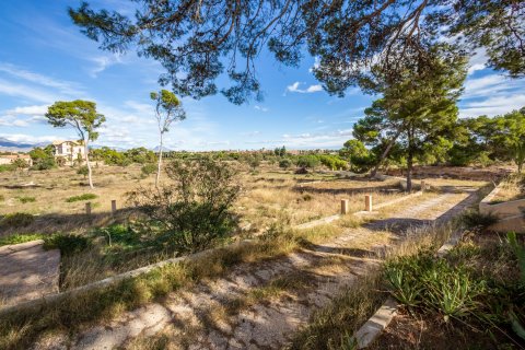 Villa zum Verkauf in Alicante, Spanien 7 Schlafzimmer, 560 m2 Nr. 155069 - Foto 9