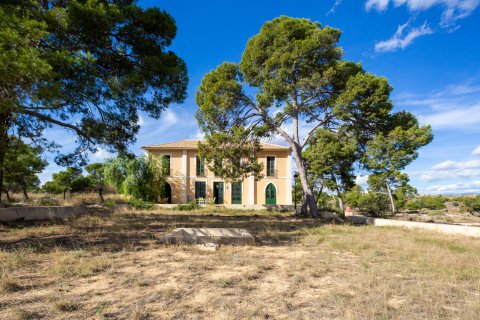 Villa zum Verkauf in Alicante, Spanien 7 Schlafzimmer, 560 m2 Nr. 155069 - Foto 2