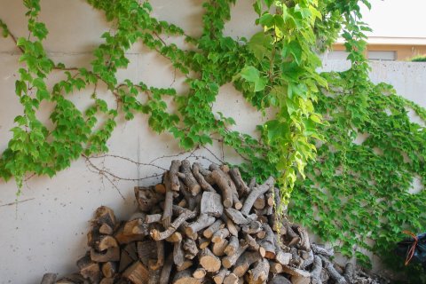 Villa pārdošanā Alicante, Spānijā 3 istabas, 451 m2 Nr. 155072 - attēls 5